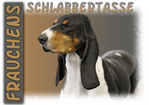 Fototasse Berner Laufhund Herrchen/Frauchen