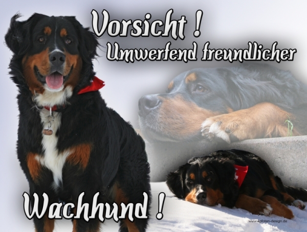 Aluminiumschild Berner Sennenhund