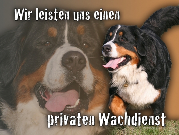 Aluminiumschild Berner Sennenhund