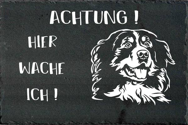 Schieferplatte Berner Sennenhund