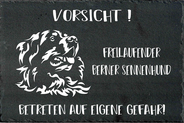 Schieferplatte Berner Sennenhund