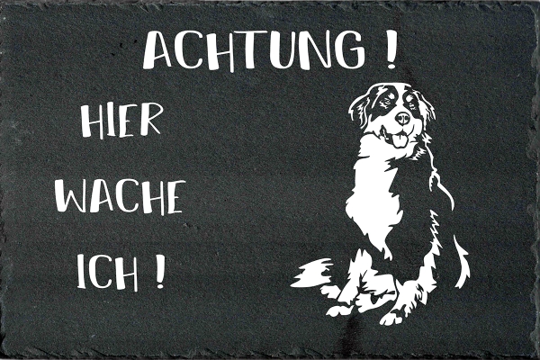 Schieferplatte Berner Sennenhund
