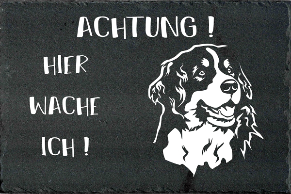 Schieferplatte Berner Sennenhund