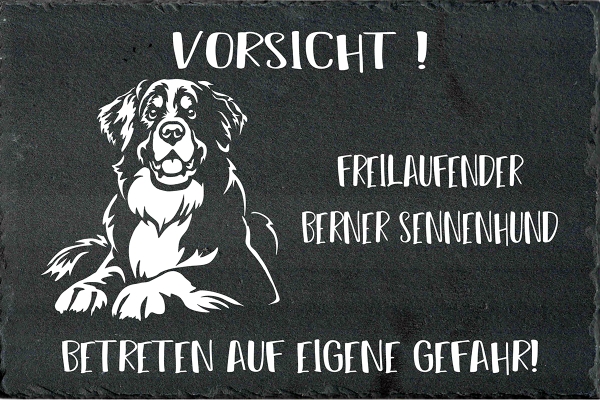 Schieferplatte Berner Sennenhund