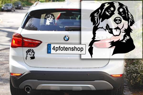 Autoaufkleber "Berner Sennenhund" Kopf