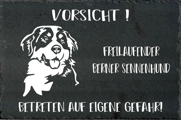 Schieferplatte Berner Sennenhund