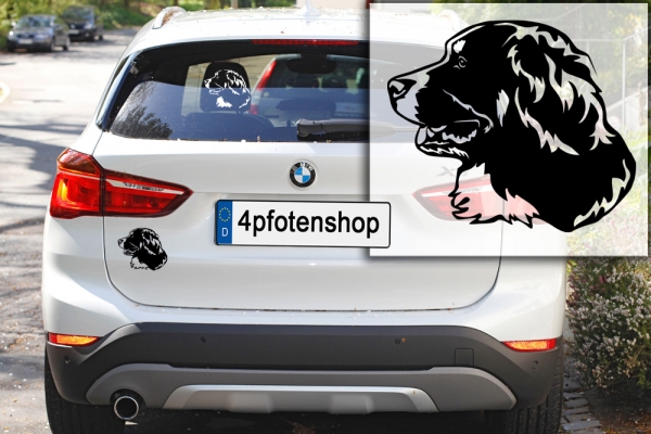 Autoaufkleber "Berner Sennenhund" Kopf