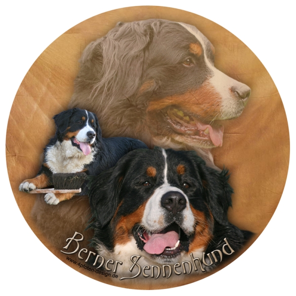 Aufkleber Berner Sennenhund 01 rund