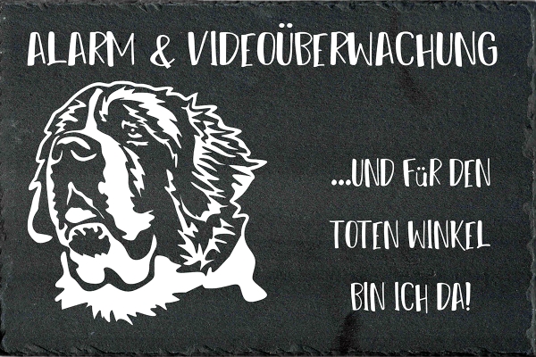 Schieferplatte Bernardiner