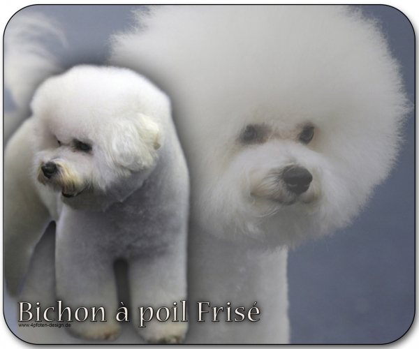 Mousepad Bichon à poil frisé