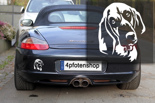 Autoaufkleber "Bloodhound" Kopf