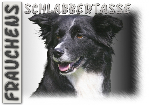 Fototasse Border Collie