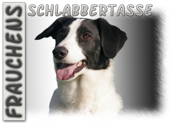 Fototasse Border Collie