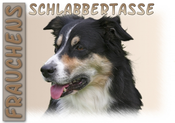 Fototasse Border Collie