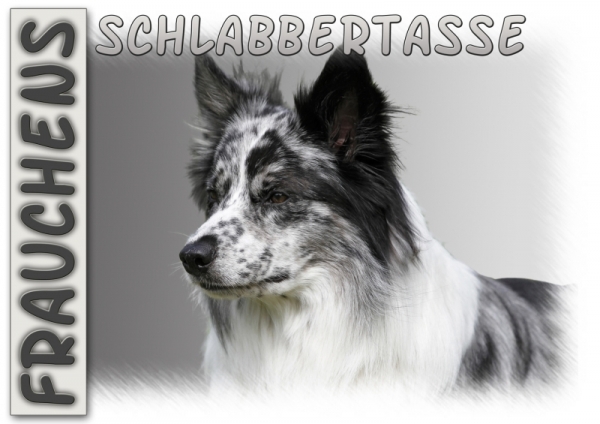 Fototasse Border Collie Herrchen/Frauchen