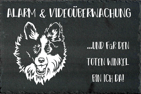 Schieferplatte Border Collie