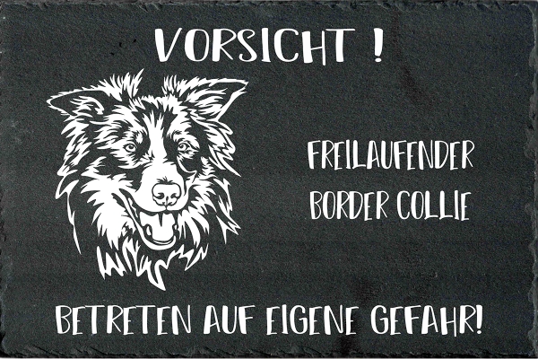 Schieferplatte Border Collie