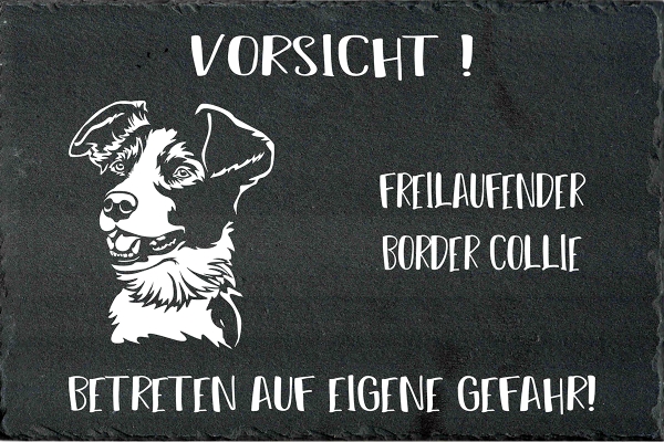 Schieferplatte Border Collie (Kurzhaar)