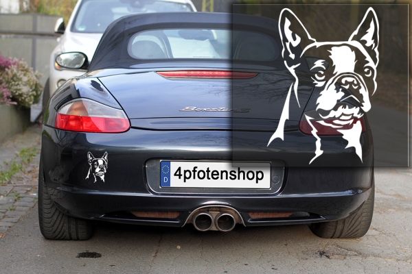 Autoaufkleber "Boston Terrier" Kopf