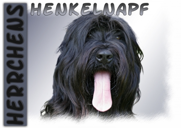 Fototasse Briard Herrchen/Frauchen