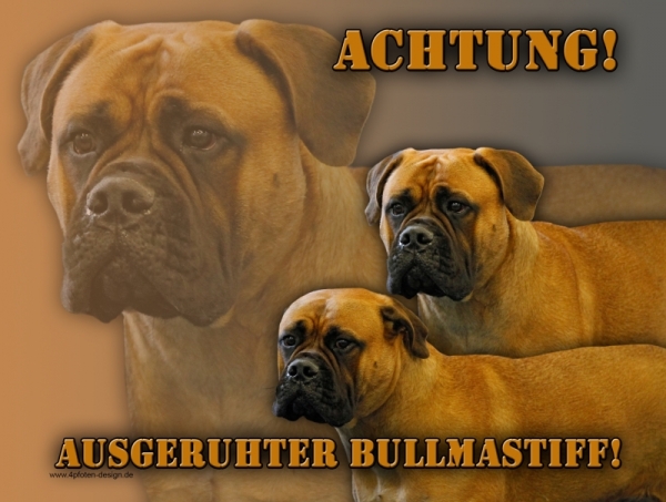 Aluminiumschild Bullmastiff