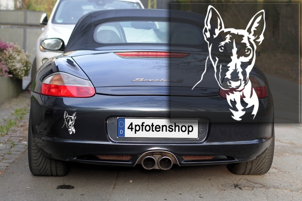 Autoaufkleber "Bullterrier" Kopf