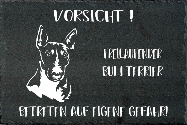 Schieferplatte Bullterrier