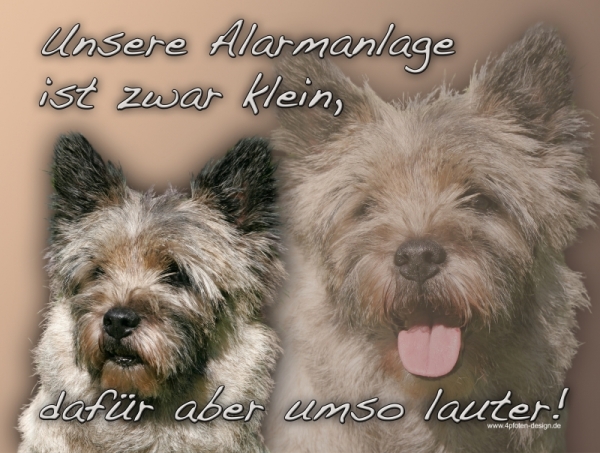 Aluminiumschild Cairn Terrier