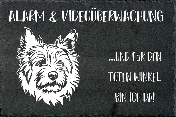 Schieferplatte Cairn Terrier