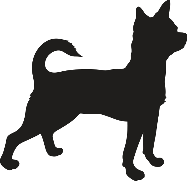 Chihuahua stehend Silhouette