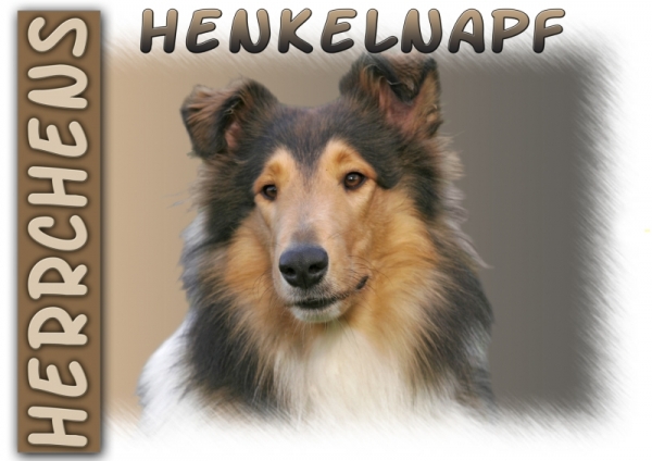 Fototasse Collie Herrchen/Frauchen