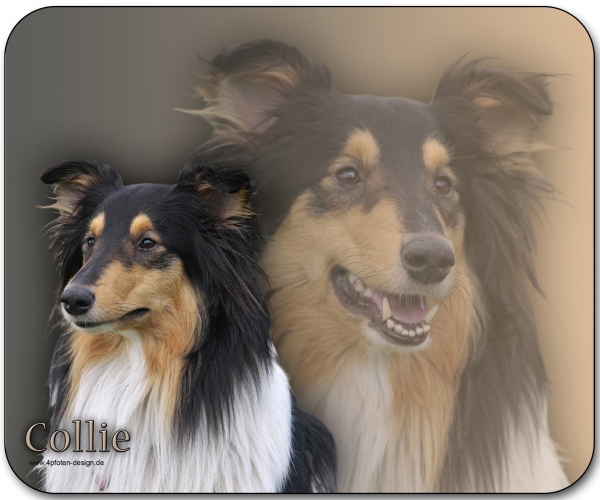 Mousepad Collie