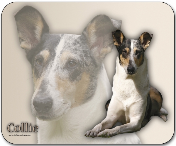 Mousepad Collie #7