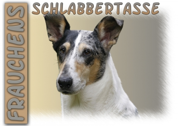 Fototasse Collie Herrchen/Frauchen