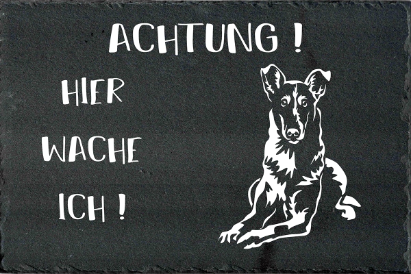 Schieferplatte Collie (Kurzhaar)