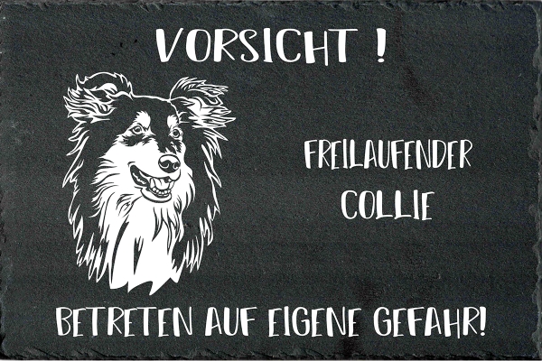 Schieferplatte Collie