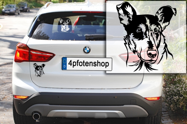 Autoaufkleber "Collie (Kurzhaar)" Kopf