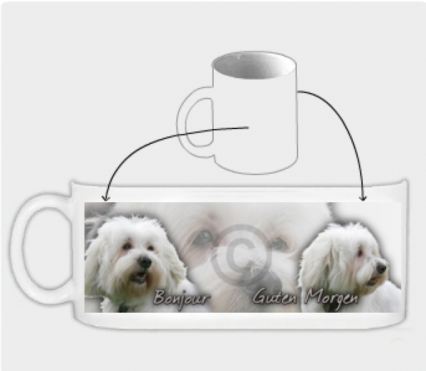 Fototasse Coton de Tulear #1