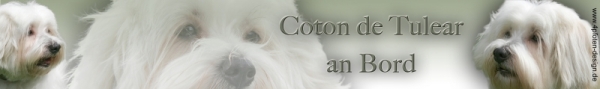 Aufkleber Coton de Tulear