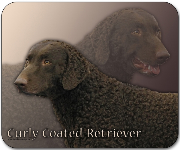 Mousepad Curly-coated Retriever