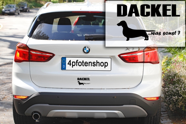 Aufkleber "Dackel (Kurzhaar) ...was sonst?"