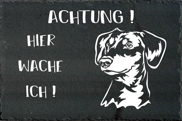 Schieferplatte Deutscher Pinscher