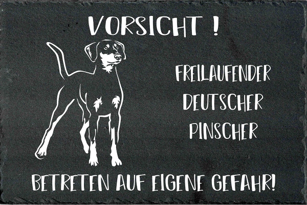 Schieferplatte Deutscher Pinscher