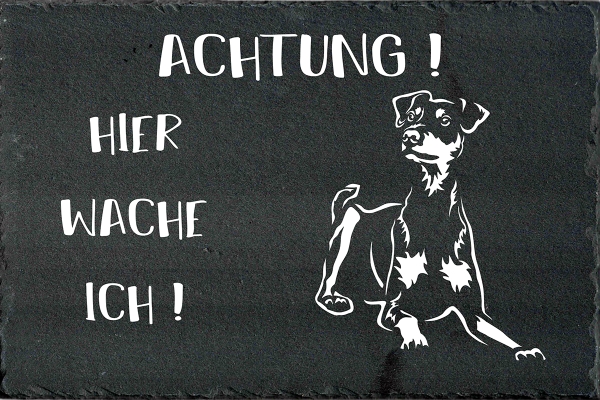 Schieferplatte Deutscher Pinscher