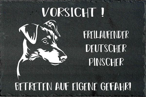 Schieferplatte Deutscher Pinscher