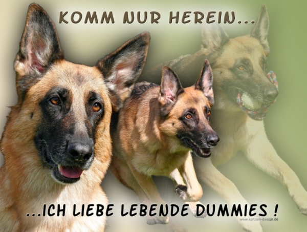 Aluminiumschild Deutscher Schäferhund