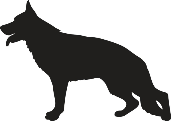 Deutscher Schäferhund stehend Silhouette