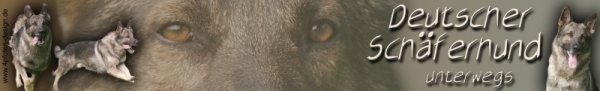 Autoaufkleber Deutscher Schäferhund