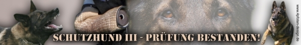 Autoaufkleber Deutscher Schäferhund