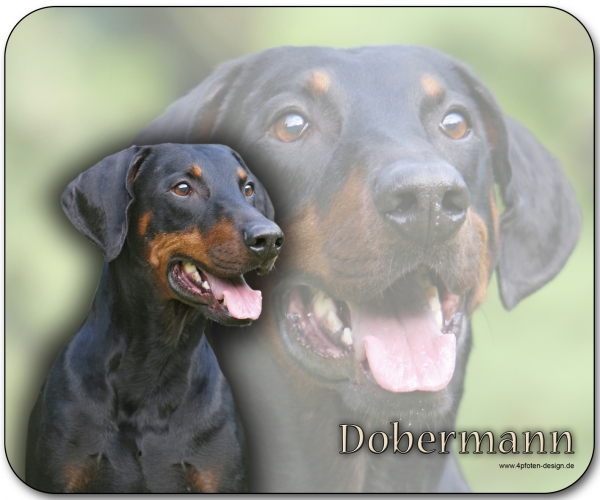 Mousepad Dobermann